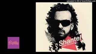 shantel - disko partizani - 10 - immigrant child