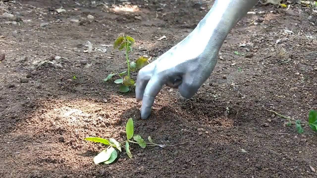 Steel Flyover Beda - No steel Flyover (1 minute short film)