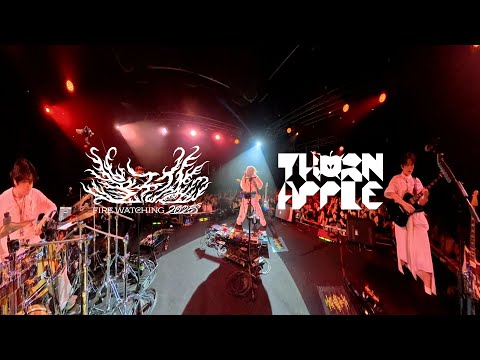 쏜애플(THORNAPPLE) - 물가의 라이온 / 백치 '불구경' 2025 Live 360˚ver. thumbnail