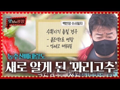 ‘농수산 베테랑’ 백종원, 꽈리고추에 대해 새로 안 사실!ㅣ맛남의 광장(A Palatial Residence)ㅣSBS ENTER.