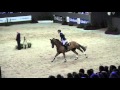 Scott brash   hello forever   9e rolex grand prix   indoor brabant 13 3 2016