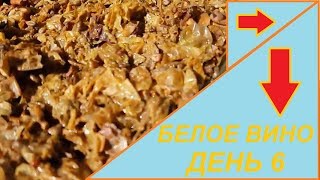 ДОМАШНЕЕ БЕЛОЕ ВИНО | 6 ДЕНЬ | ПЕРЕМЕШИВАЕМ МЕЗГУ и СУСЛО | ПОЧЕМУ ДЕРЕВЯННЫЕ БОЧКИ ЛУЧШЕ ЖЕЛЕЗНЫХ