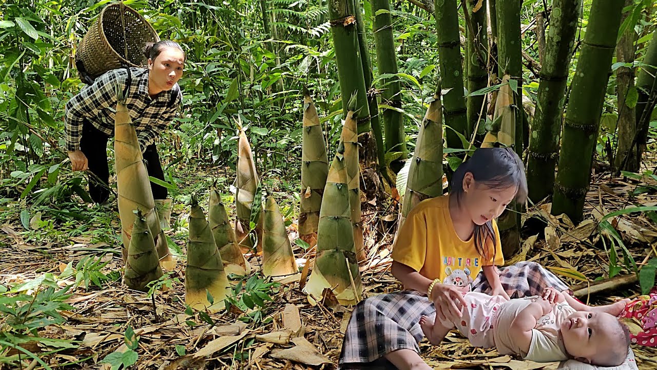 Take care of my sister Harvest bamboo shoots and take them to the market to sell.