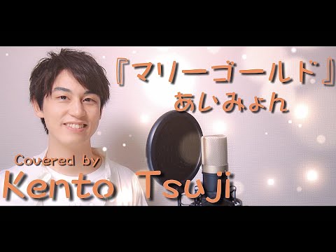 【男性キー】あいみょんの『マリーゴールド』を歌ってみた【辻 憲斗】