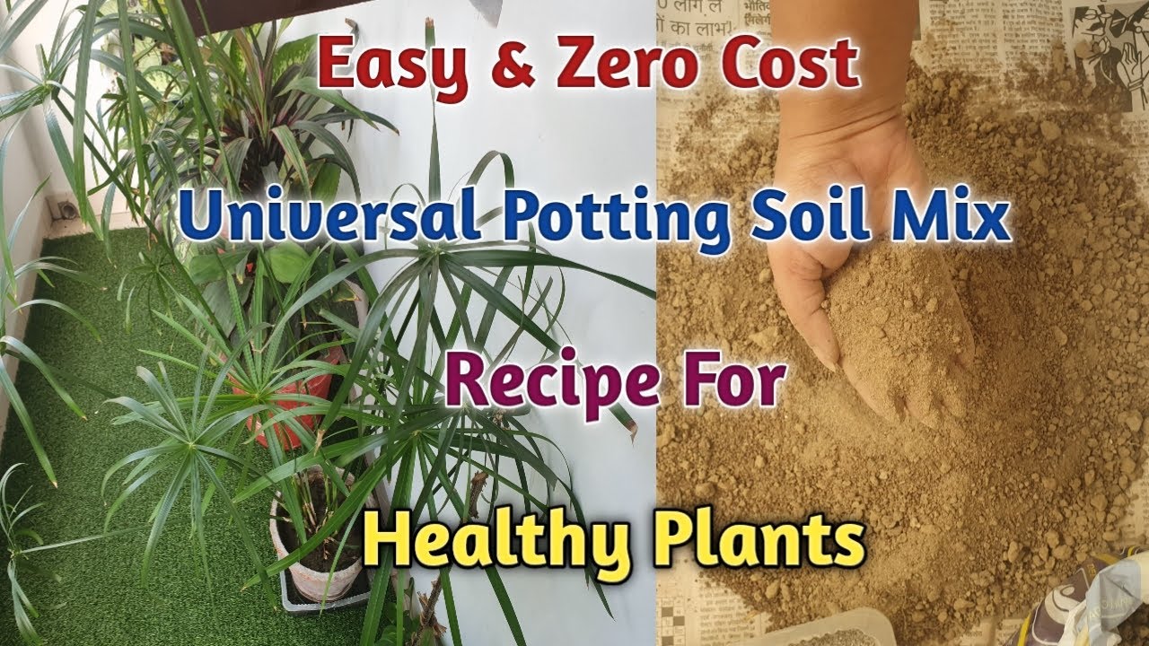 Perfect Potting Soil Mix Formula for All plants/Easy, Homemade & Zero ...