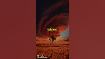 قرآن الكريم ❤️🥹 عبد الباسط عبد الصمد ❤️🥹 #اكسبلور #القزابري #ا #دويتو #المصحف #لايك #الرحمن #حالات