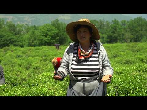 ვიდეო: ჩაის პაკეტებისა და ტკბილეულის თაიგული