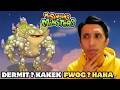 AKHIRNYA BERHASIL BANGUNIN DERMIT!! 😱 + MASIH NGEJAR 2 CELESTIAL! - My Singing Monsters