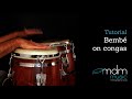 Bembé on conga's, free lesson by Michael de Miranda