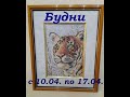 Будни #11 (c 10.04. по 17.04.)