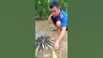 Cá lóc đồng và ốc bươu nướng mọi