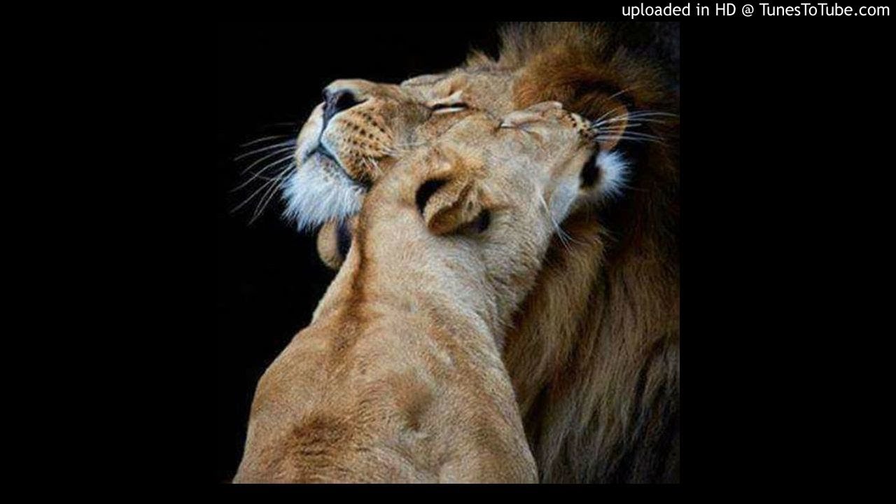 За доброту бог дает полноту а от злости одни кости прикольные картинки