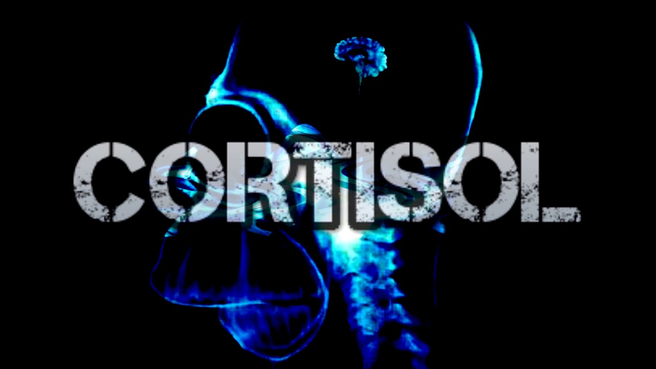 CORTISOL *-* 
