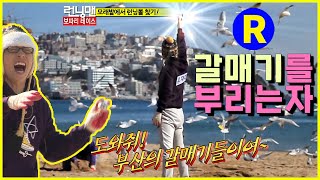 [런닝맨] 갈매기를 부리는 자~ 초능력? | RunningMan EP.83