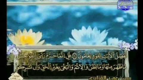 القارئ / عمر القزابري والجزء الثامن من القران الكريم 4