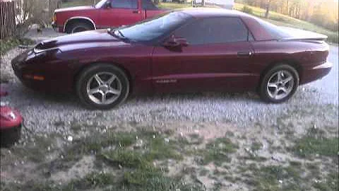 randall barker's firebird