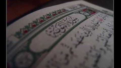 مشعل المطر سورة التوبة