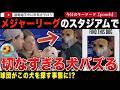 【超話題】ホットドッグをもらう柴犬とその家族を見つめる「隣の犬」が大バズり!?メジャーリーグのスタジアムで発見されたその表情が切なすぎるワンコ。球団が身元を探し始めてしまう