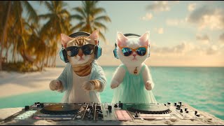 Download Lagu Island of Dreams 🏝️ | Katy \u0026 Miaww’s Sunset Chill Vibes MP3