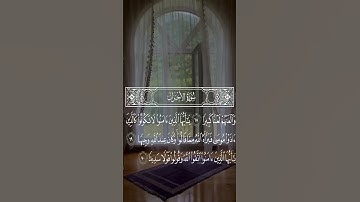 #ايات_قرانيه_قصيره #ايات_القرآن_الكريم #تلاوة_خاشعة #اكسبلور #ايات #القاريء #لايك #ارحقلبك