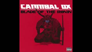 15. Cannibal Ox - The Fire Rises