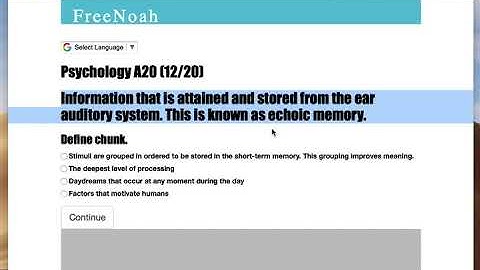 Psychology A20 (11/20) Echoic memory
