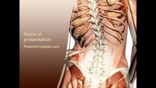 Vertebrae PowerPoint Template by PoweredTemplate.com