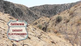 Expedia Road Trip:  Odd Palm Springs