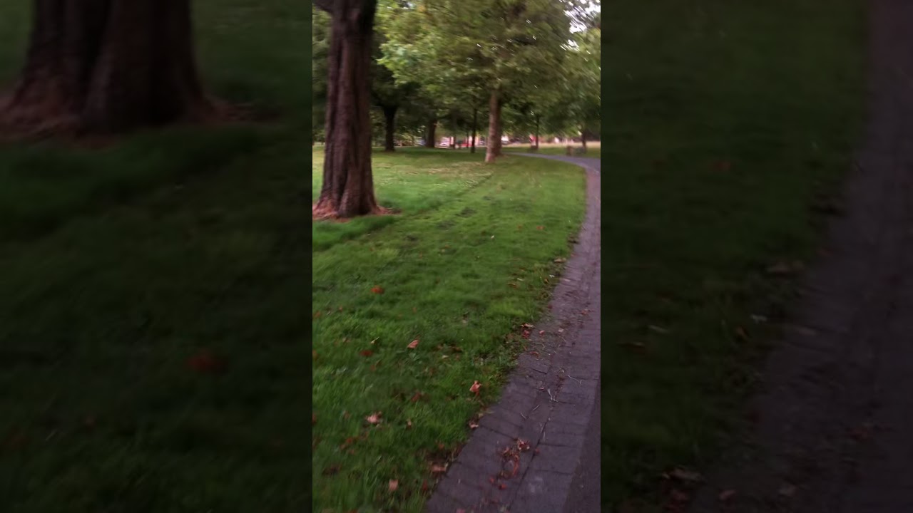 Beautiful Park Near me ️🤩 - YouTube