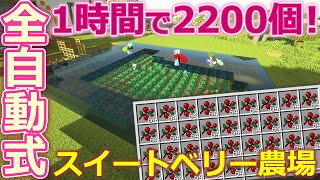 マインクラフト ┃1時間で2200個のスイートベリーを作る全自動農場完成！これで交易しまくりの稼ぎまくり！ #092【ぽこなかくら 2020】