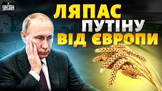⚡️ТЕРМІНОВО! Це ЛЯПАС Путіну: Європа ухвалила жорстке РІШЕННЯ щодо краденого зерна. ПОДРОБИЦІ