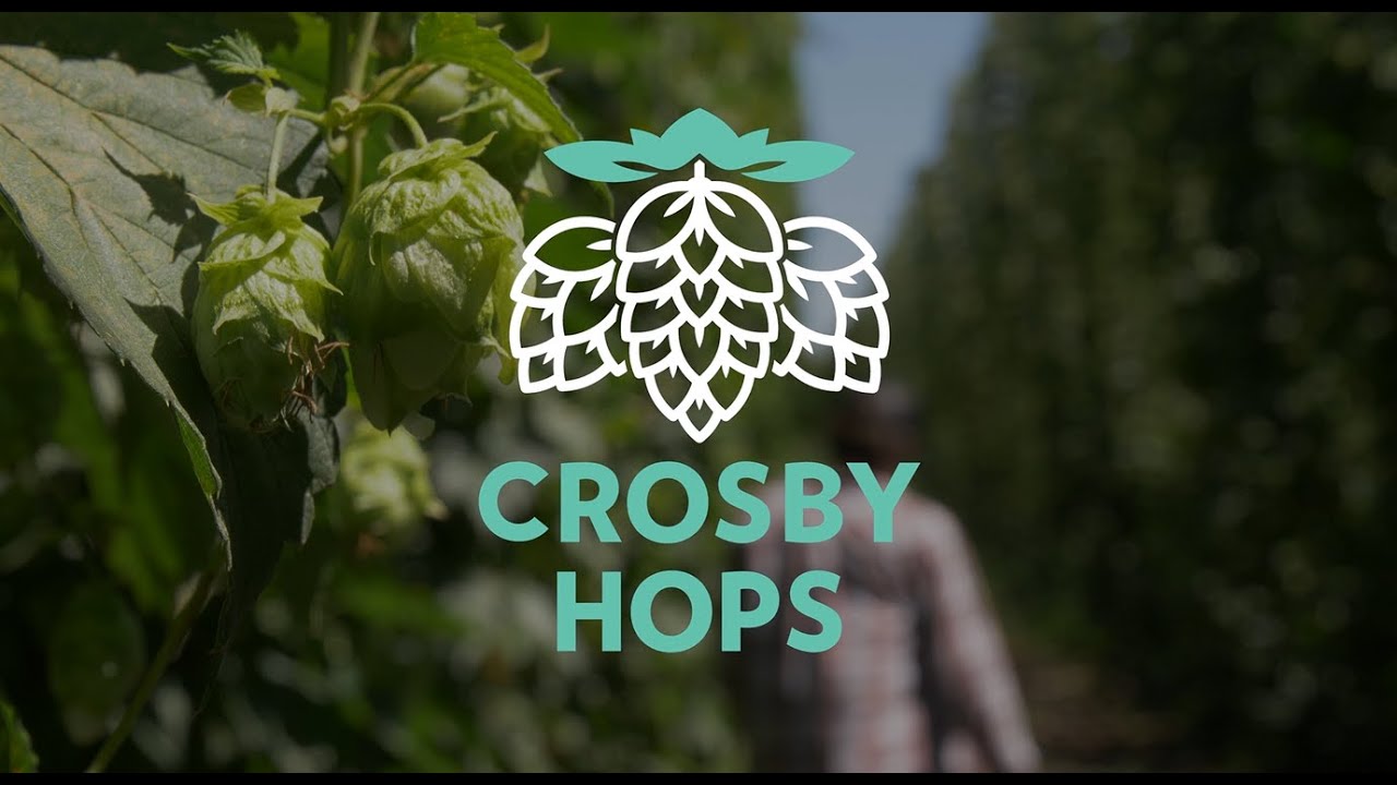 The Crosby Connection