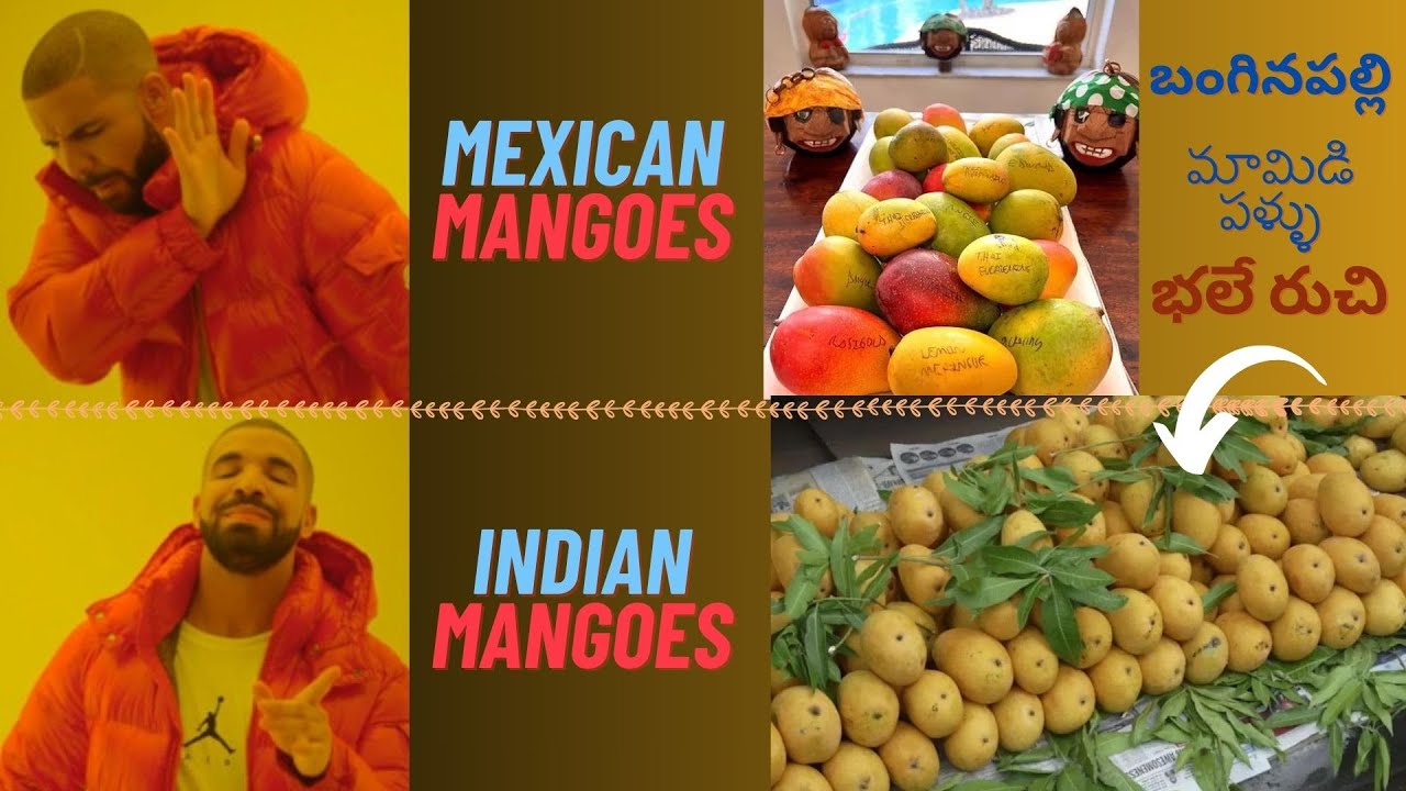 Mangoes shopping in USA Indian mangoes in USA బంగినపల్లి USA