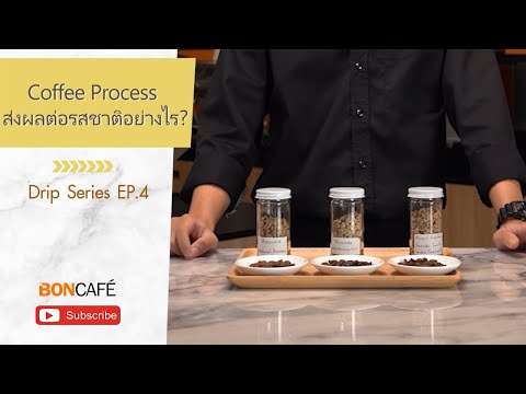 Coffee Process ส่งผลต่อรสชาติกาแฟอย่างไร?