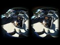 Petting Cute Puppies  (format: Stereo VR180)