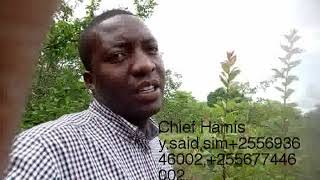 Maajabu Ya Mti Wa Mkolozi