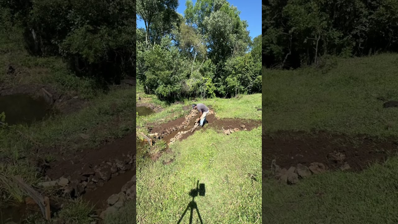 Transformei um simples lugar, em uma paisagem linda