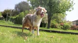 Liwanu - Tricks Mal Anders