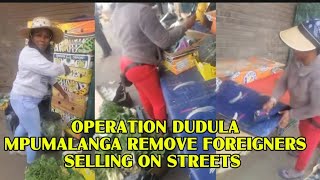 Watch Operation Dudula in Mpumalanga fixing the streets