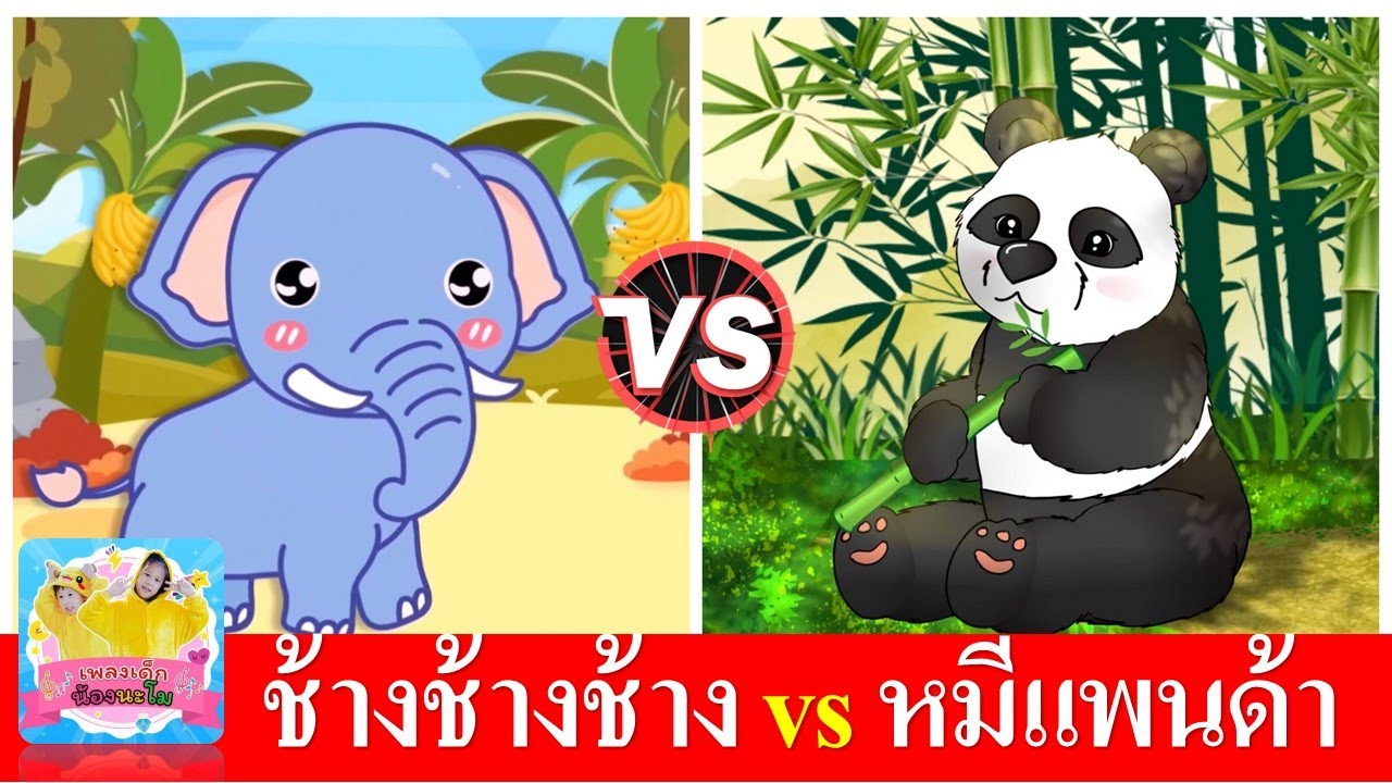 ช้างช้างช้าง vs หมีแพนด้า