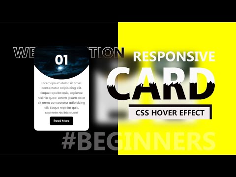 CSS Responsive CARD Hover Effects & Adding Stroke to Text | Html5 CSS3 2021