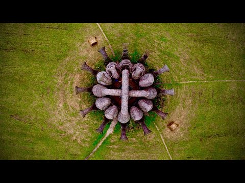 Video: Kuidas Läks Rahvusvahelisel Maastikuobjektide Festivalil "Archstoyanie 2012. Suvi"