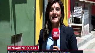 Erzurum'un En Renkli Sokağı Resimi