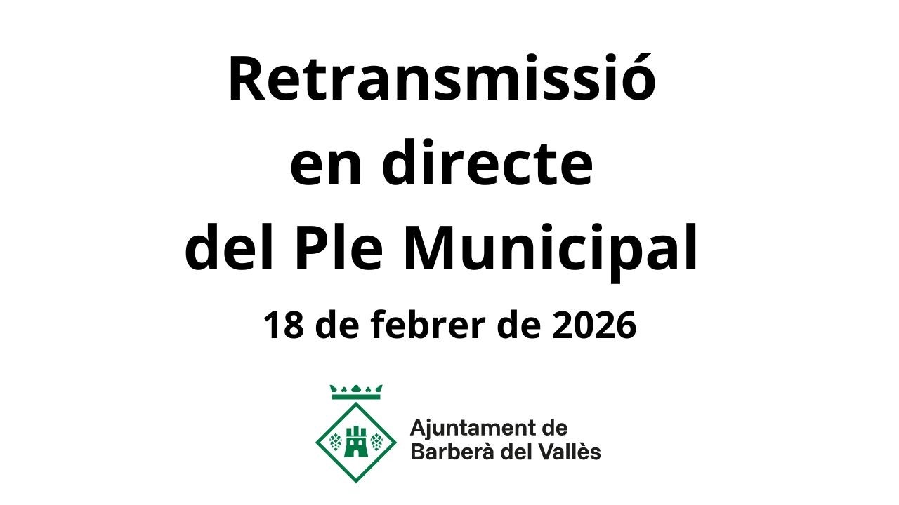 Ple Ordinari Febrer 2026