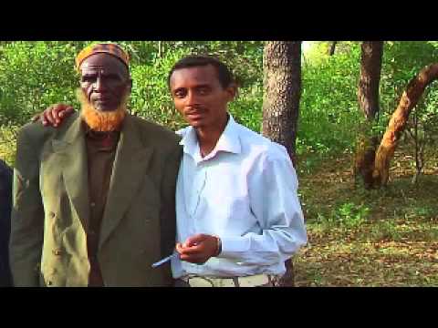 Nasreddin Adem   Gootota   Oromo Music 2014 new