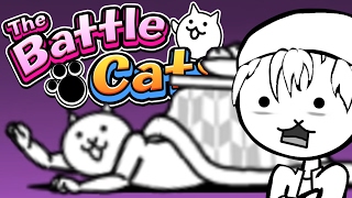 KOTATSU CAT | The Battle Cats (Part 2) | Gameplay, Reaction, Update 5.8.1