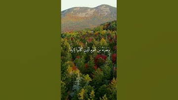 تلاوة من سورة الأنبياء #quran #القرآن_الكريم #تلاوة #تلاوة_خاشعة #اكسبلور