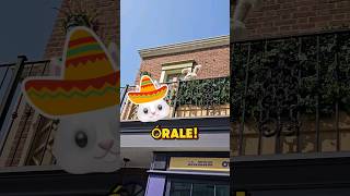 Happy Cinco De Mayo from Snowball! #UniversalStudios #CincoDeMayo #Funny #Shorts #Spanish #Memes