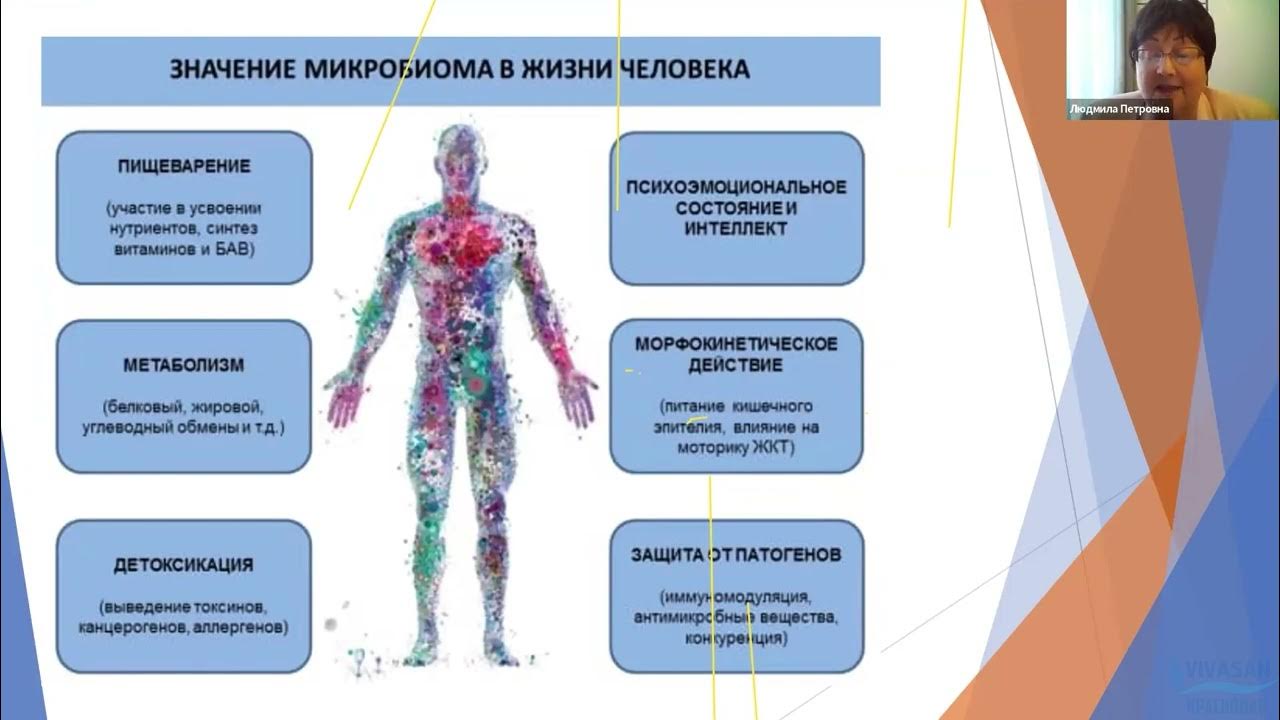 Болезни созданные человеком. Влияние бактерий на человека. Микроорганизмы в организме человека. Влияние микроорганизмов на организм человека. Воздействие бактерий на организм.