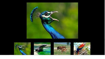 Flash CS6 Tutorial: How to create a Flash Gallery in Actionscript 3.0